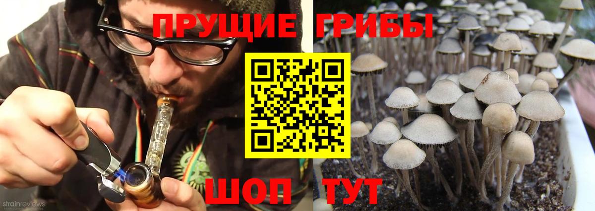 Галлюциногенные грибы MAGIC MUSHROOMS Кропоткин